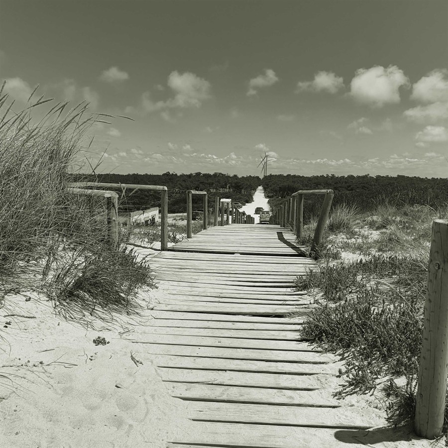Dünenlandschaft in Portugal